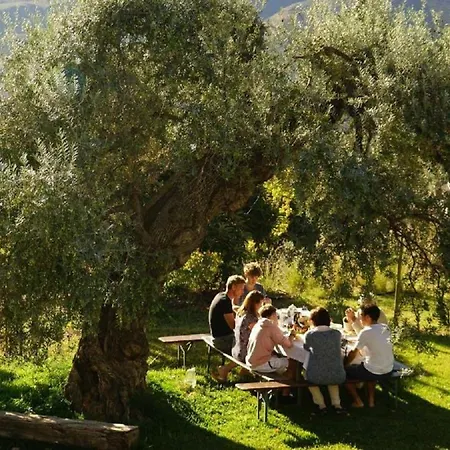 Caserio El Olivo Country house Orgiva